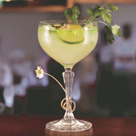 Набор из 6-ти бокалов-блюдец для шампанского RCR Luxion Glamour 460 мл, хрустальное стекло, Италия, изображение 2